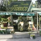 Immagine 7 azienda GRANDE FEDERICO PIANTE E FIORI Vivaio in Palermo