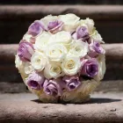 Immagine 8 azienda GRANDE FEDERICO PIANTE E FIORI Vivaio in Palermo