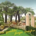 Immagine 1 azienda GRANDI VIVAI ROBERTO MOSOLE - L'ARTE DEL SASSO Vivaio in Breda Di Piave TV