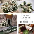 Immagine 6 azienda GRAZIA BOZZI FIORI E PIANTE ONORANZE FUNEBRI Wedding planner organizzazione matrimoni in Bitritto BA