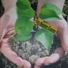 Immagine 2 azienda GREEN CENTER Shopping e acquisti in Sant'angelo Dei Lombardi AV