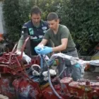 Immagine 6 azienda GREEN HOUSE Shopping e acquisti in Fonte Nuova RM