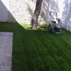 Immagine 2 azienda GREEN SERVICE GIARDINAGGIO Servizi professionali in Ispica