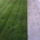 Immagine 3 azienda GREEN SERVICE GIARDINAGGIO Servizi professionali in Ispica