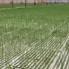 Immagine 8 azienda GREENLIFE VIVAIO Vivaio in Acate