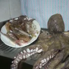 Immagine 3 azienda GROTTA DEL MARINAIO Ristorante in Pescara