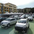 Immagine 1 azienda GRUPPO BONIFACIO NOLEGGIO AUTO Veicoli in Napoli