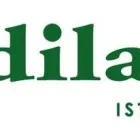 Immagine 2 azienda GRUPPO MEDILABOR HSE - ISTITUTO DI MEDICINA E DI INGEGNERIA Terapista occupazionale in Gallarate VA