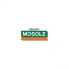 Immagine 2 azienda GRUPPO MOSOLE DI MOSOLE SPA Shopping e acquisti in Saletto TV