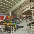 Immagine 7 azienda GRUPPO PESISTI RIMINESE ASD Sport e tempo libero in Rimini