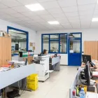 Immagine 12 azienda GS CONCESSIONARIO BOSCH Veicoli in Venaria Reale TO