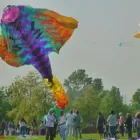 Immagine 7 azienda GUIDE TURISTICHE FERRARA Viaggi e turismo in Ferrara