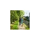 Immagine 14 azienda GUIDE TURISTICHE FERRARA Viaggi e turismo in Ferrara