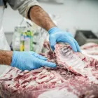 Immagine 2 azienda GUSTO Shopping e acquisti in Pozzuoli NA