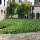 Immagine 2 azienda HABITAT NATURA Vivaio in San Biagio Di Callalta TV
