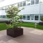 Immagine 3 azienda HABITAT NATURA Vivaio in San Biagio Di Callalta TV