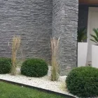 Immagine 4 azienda HABITAT NATURA Vivaio in San Biagio Di Callalta TV