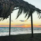 Immagine 5 azienda HANG LOOSE Sport e tempo libero in Fiumicino RM