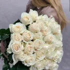 Immagine 2 azienda HELLO! Shopping e acquisti in Bari