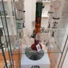 Immagine 7 azienda HEMPATHY GROW SHOP Vivaio in Latina