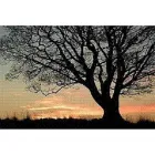 Immagine 1 azienda HIMAC Shopping e acquisti in Roma