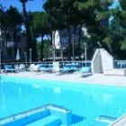 Immagine 5 azienda HOTEL ASTRA Viaggi e turismo in Cervia RA