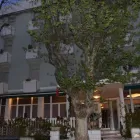 Immagine 3 azienda HOTEL BAMBY Viaggi e turismo in Rimini