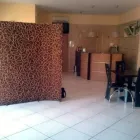 Immagine 2 azienda HOTEL GIARDINO Viaggi e turismo in Modugno BA