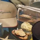 Immagine 4 azienda HOTEL KENNEDY RIMINI Viaggi e turismo in Rimini