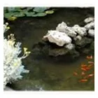 Immagine 1 azienda HOTEL LA FENICE Viaggi e turismo in Formigine MO