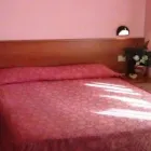 Immagine 6 azienda HOTEL MINERVA Viaggi e turismo in Ravenna