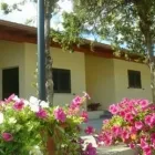 Immagine 1 azienda HOTEL SAMARCANDA Viaggi e turismo in Civitavecchia RM