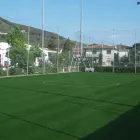Immagine 1 azienda HTS Vivaio in Rigoli PI