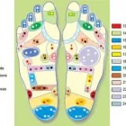 Immagine 3 azienda I.F.E.M. ISTITUTO DI FORMAZIONE ESTETICA E MASSAGGIO Shopping e acquisti in Ciampino RM