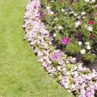 Immagine 1 azienda I GIARDINI DEL RE Shopping e acquisti in Bizzozero VA