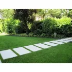 Immagine 3 azienda I VIVAI DI CASA BOIAGO Vivaio in Breda Di Piave TV