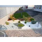 Immagine 5 azienda I VIVAI DI CASA BOIAGO Vivaio in Breda Di Piave TV