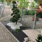 Immagine 6 azienda I VIVAI DI CASA BOIAGO Vivaio in Breda Di Piave TV
