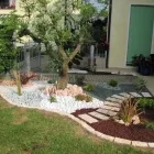 Immagine 7 azienda I VIVAI DI CASA BOIAGO Vivaio in Breda Di Piave TV
