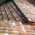 Immagine 6 azienda IDEALTETTI Servizi professionali in Savignano Sul Rubicone FC