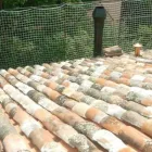 Immagine 7 azienda IDEALTETTI Servizi professionali in Savignano Sul Rubicone FC