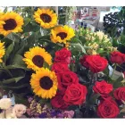 Immagine 2 azienda IDEE E PENSIERI Shopping e acquisti in Rocca San Giovanni CH