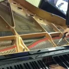 Immagine 1 azienda IDRA PIANOFORTI Shopping e acquisti in Saronno VA