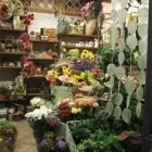 Immagine 1 azienda IL BOUQUET Shopping e acquisti in Trieste