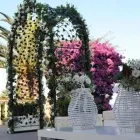 Immagine 1 azienda IL CASTELLO BORGHESE Servizi professionali in Nettuno RM