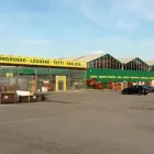 Immagine 3 azienda IL FAI DA TE GUERCIO Shopping e acquisti in Torino
