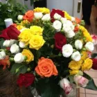 Immagine 1 azienda IL FIORISTA DE BERNARDI Shopping e acquisti in Busto Arsizio VA