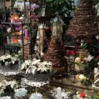 Immagine 6 azienda IL FIORISTA DE BERNARDI Shopping e acquisti in Busto Arsizio VA