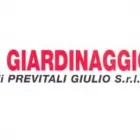 Immagine 3 azienda IL GIARDINAGGIO Vivaio in Zanica BG
