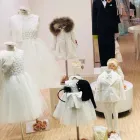 Immagine 3 azienda IL GIARDINO DEI NANETTI Shopping e acquisti in Cattolica RN